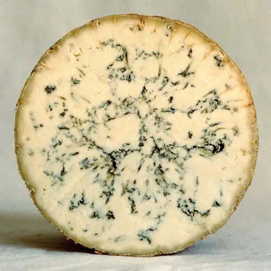 Cropwell Bishop Blue Stilton
